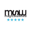 Magicseaweed Logo