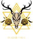 Dark Forest Ltd (US) Logo