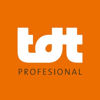 TDT Profesional Logo