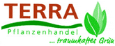 Terra DE Logo
