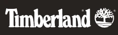 Timberland IT Logo