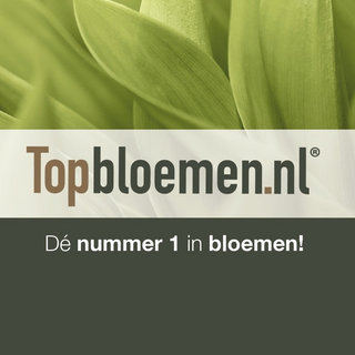 Topbloemen.nl Logo