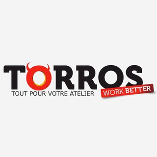 TORROS FR Logo