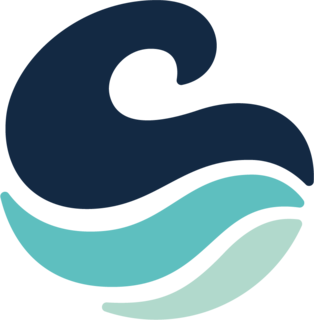 Wave Case Logo
