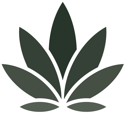 CBD & Hemp Products | webelieve DE Logo