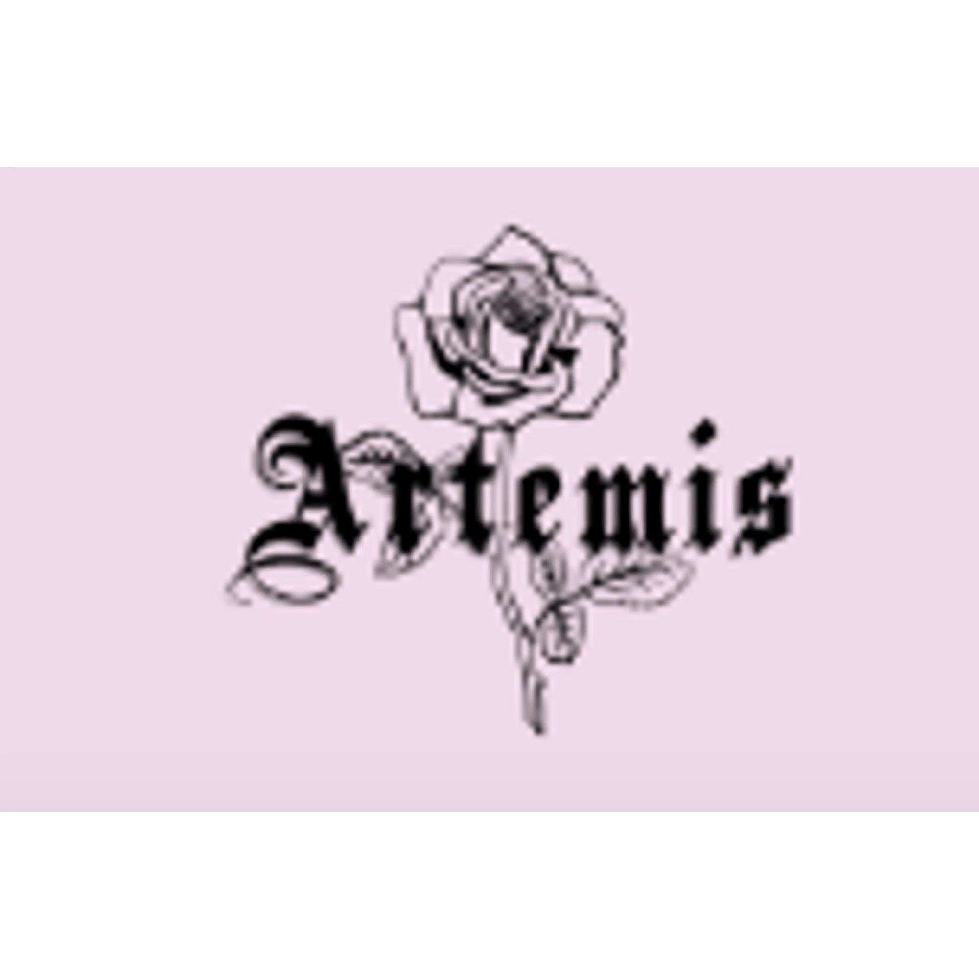Artemis Accessories Promo Code
