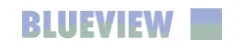 BLUEVIEW Logo