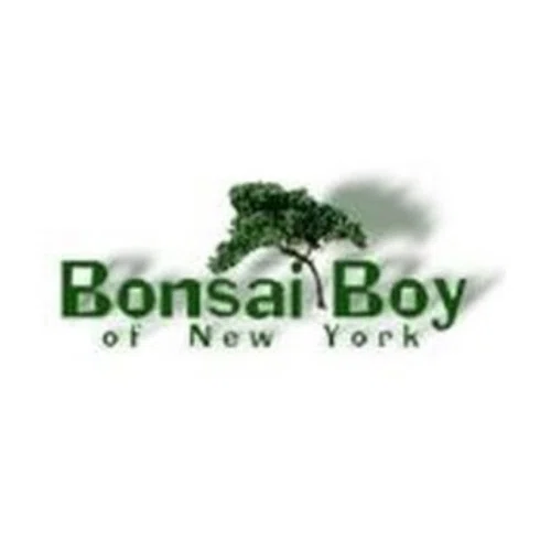 Bonsai Boy of New York Logo