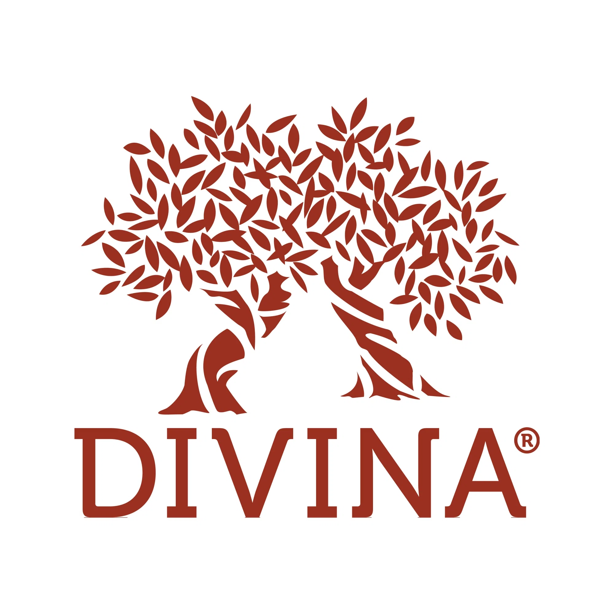 Divina Marketplace Logo