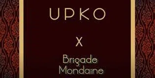 Upko USA Logo