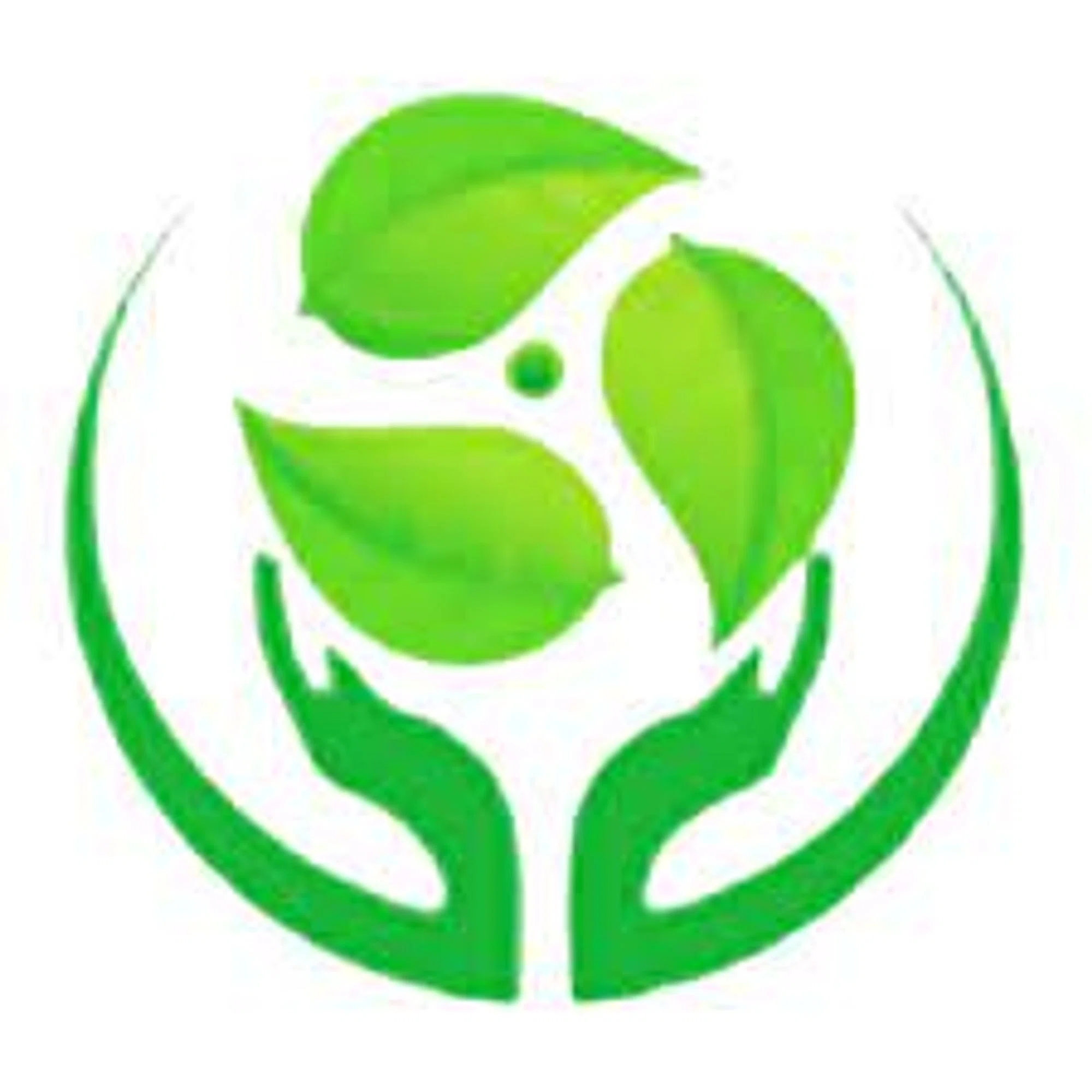 GEME Logo