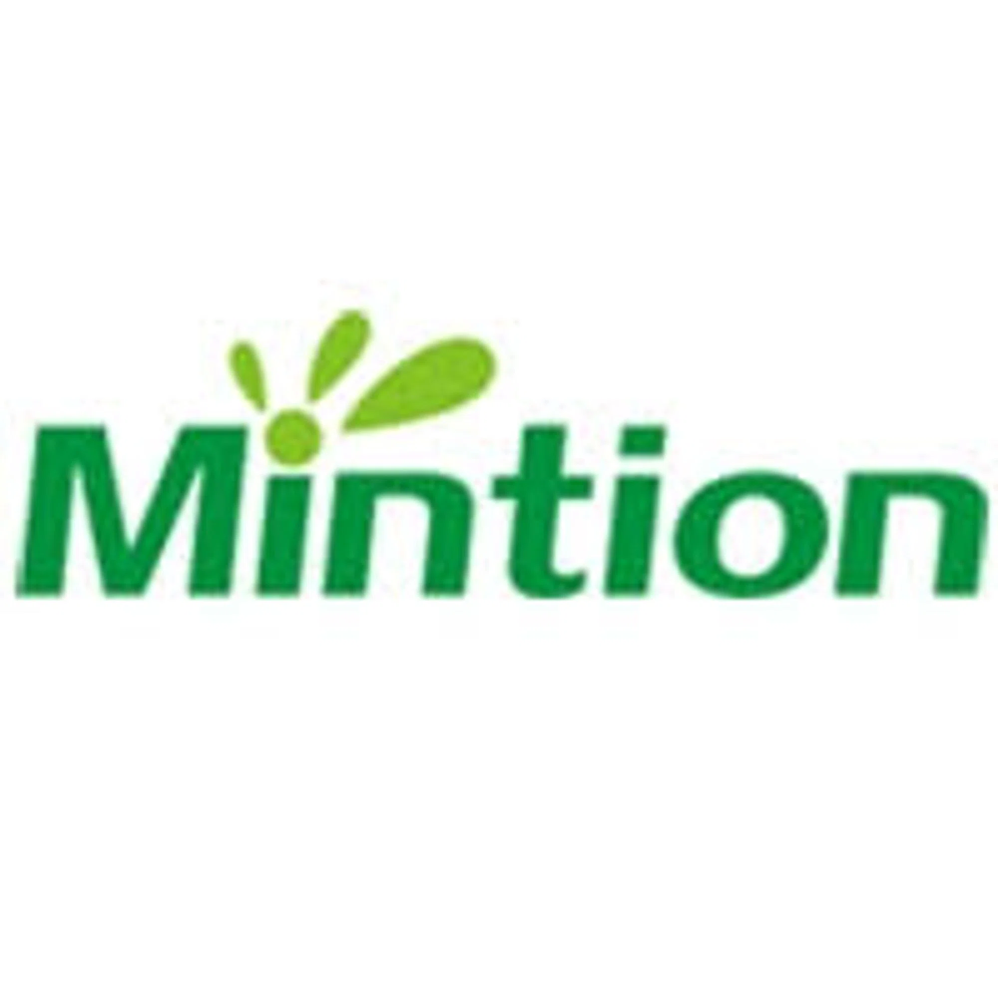 Mintion Logo