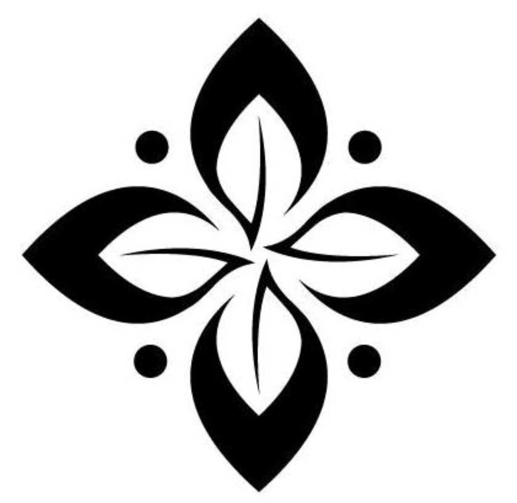 Nature's Skin And Body Logo