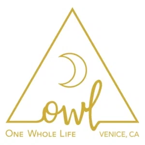 OWL Venice Logo