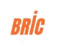 BRIC US Logo