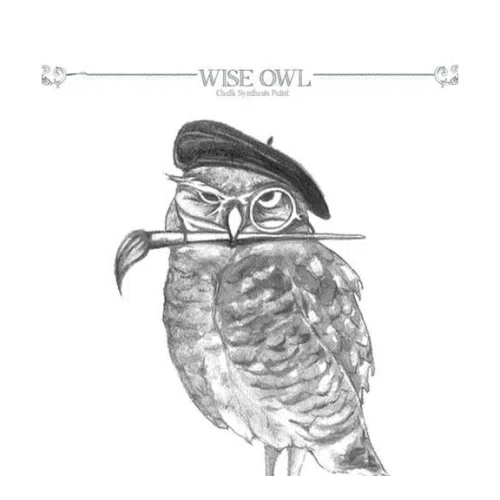 Wise Owl Paint Logo