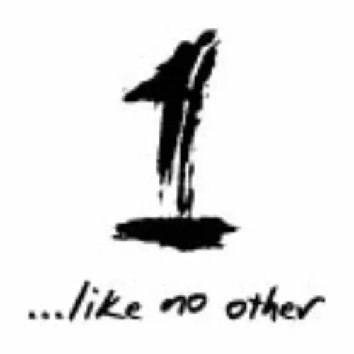 1 like no other Promo Code