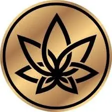 3Chi Promo Code