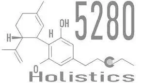 5280Holistics Promo Code
