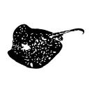 A cuckoo moment DE Promo Code