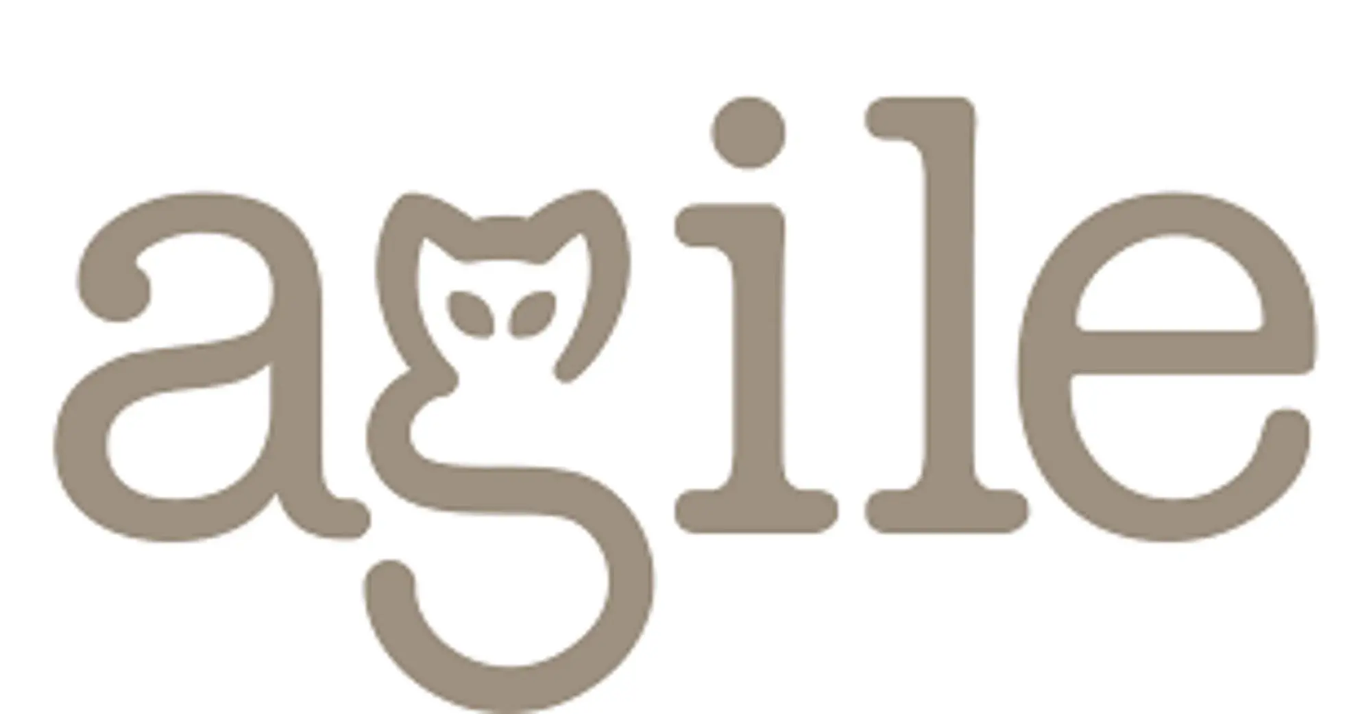 AGILE Promo Code