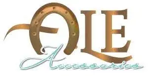 Ale Accessories Promo Code