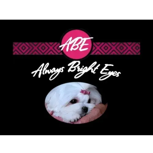 Always Bright Eyes Promo Code