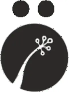 Ami Iyok Promo Code