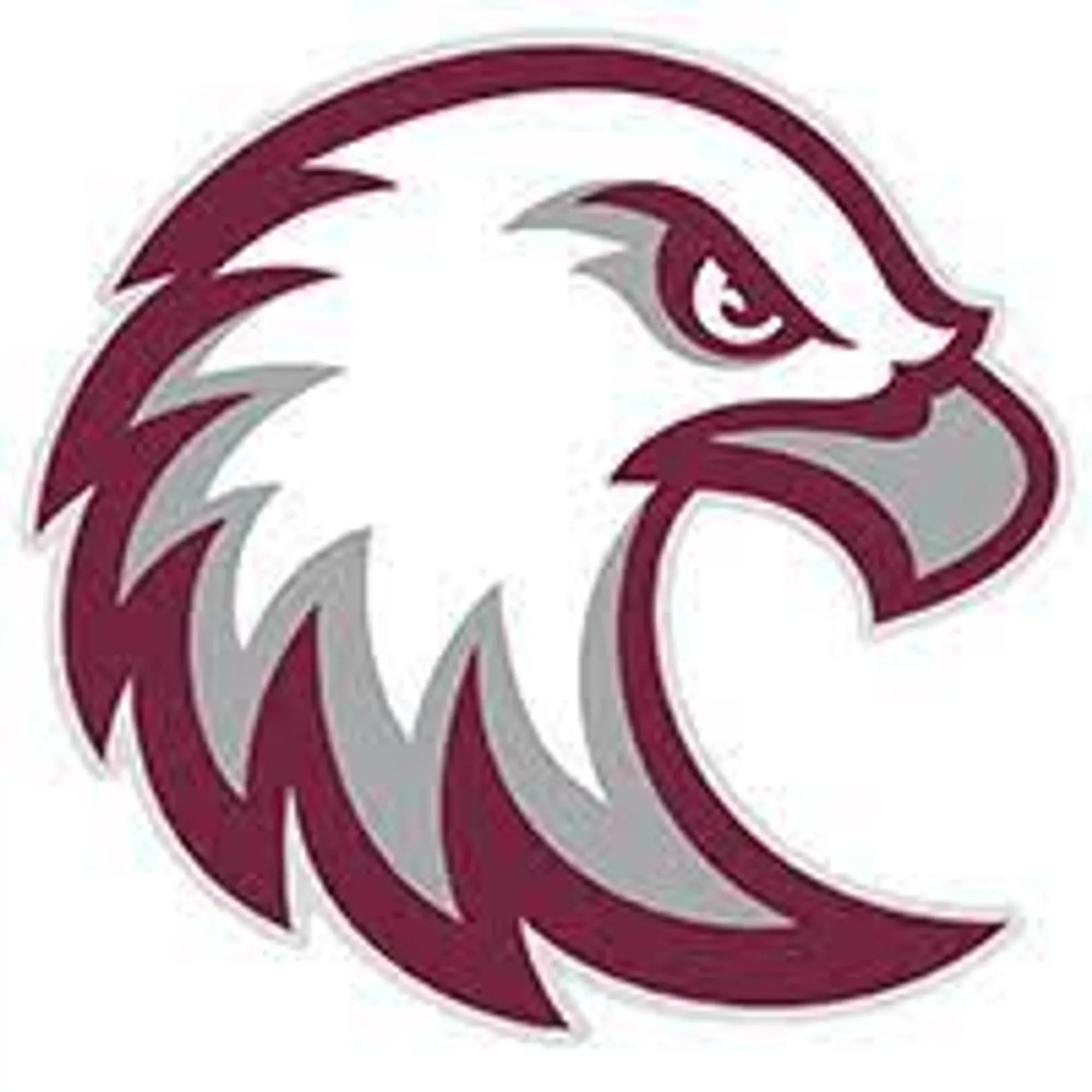 Augsburg Auggies Promo Code