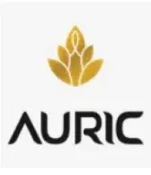 Auric Promo Code