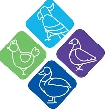 Avian Fashions Promo Code