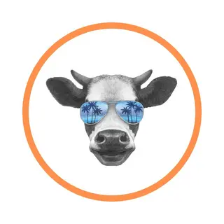Baja Jerky US Promo Code
