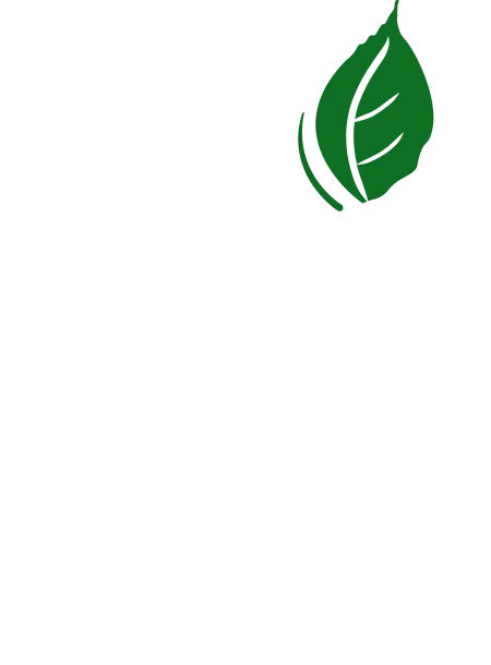BALIS Promo Code