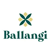 Ballangi IT Promo Code