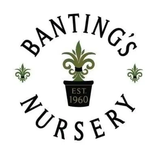 Banting's Nursery Promo Code