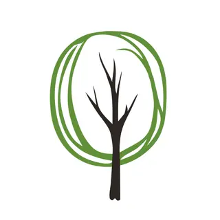 Bambus Zahnb Promo Code