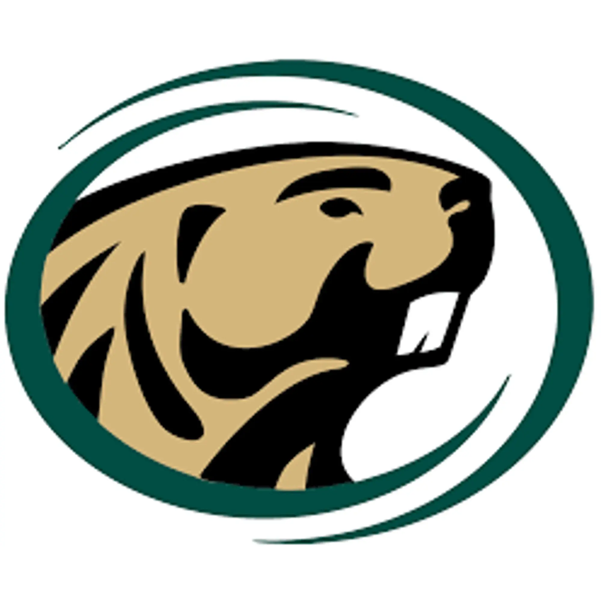 Bemidji State Beavers Promo Code