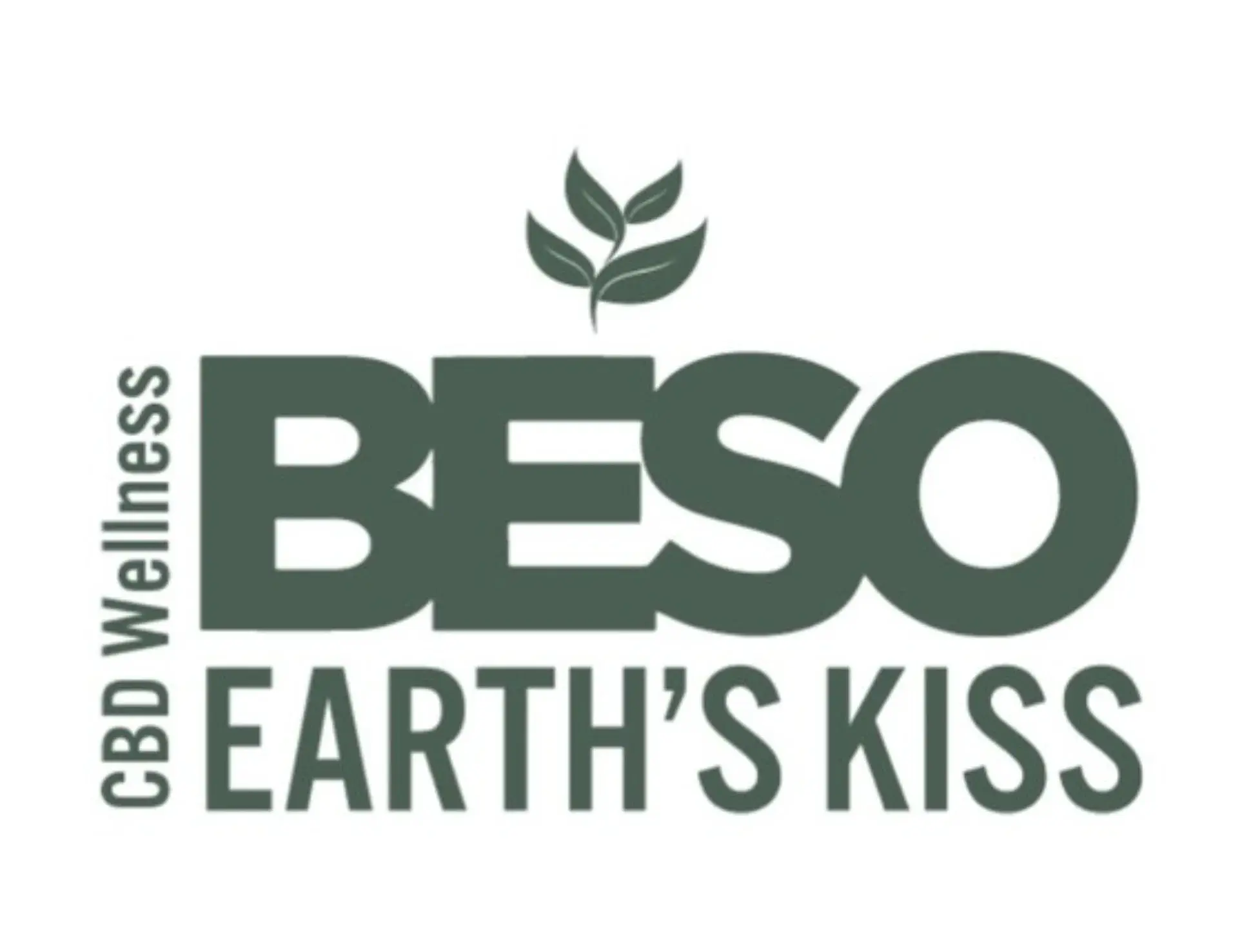 Beso Wellness Promo Code