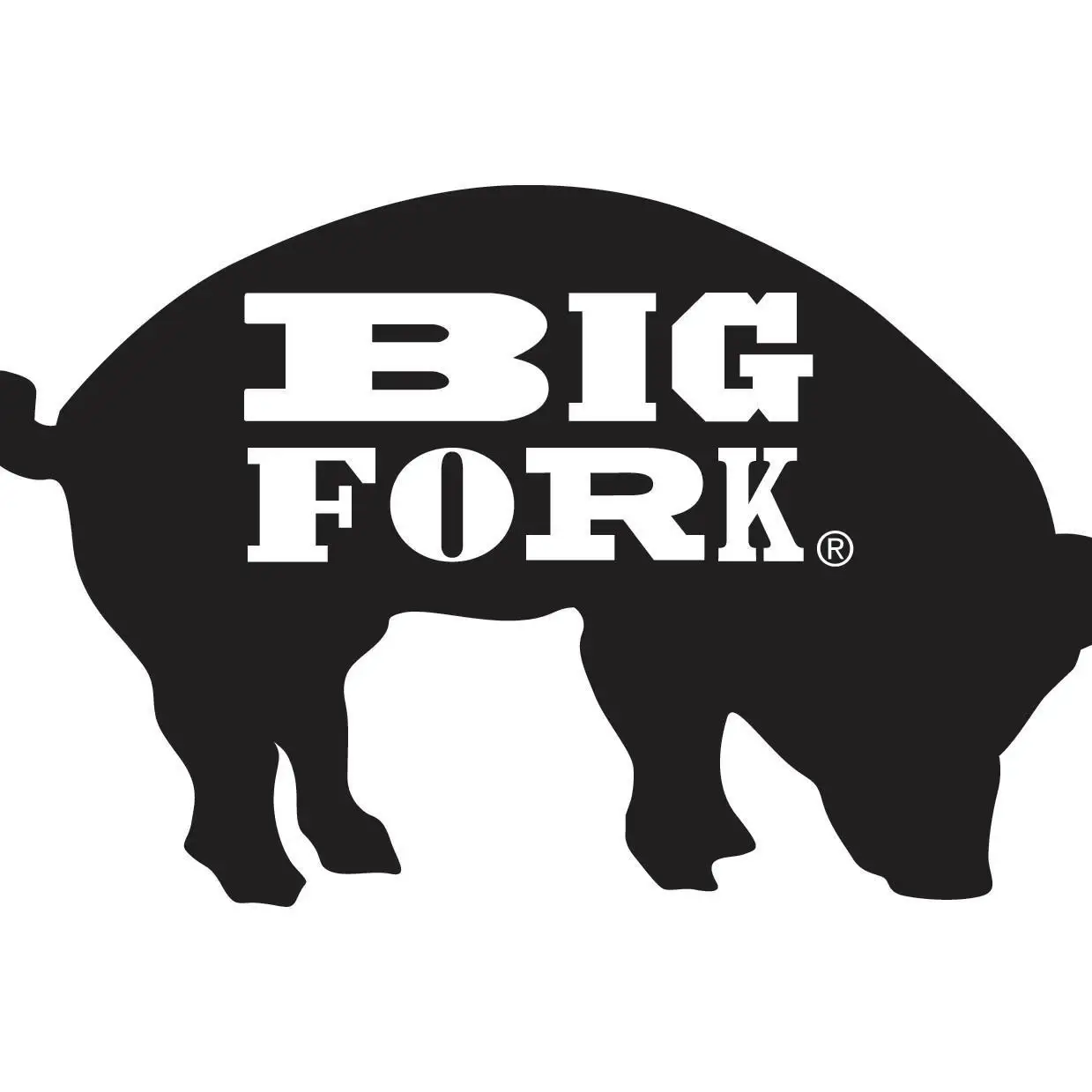 Big Fork Brands Promo Code