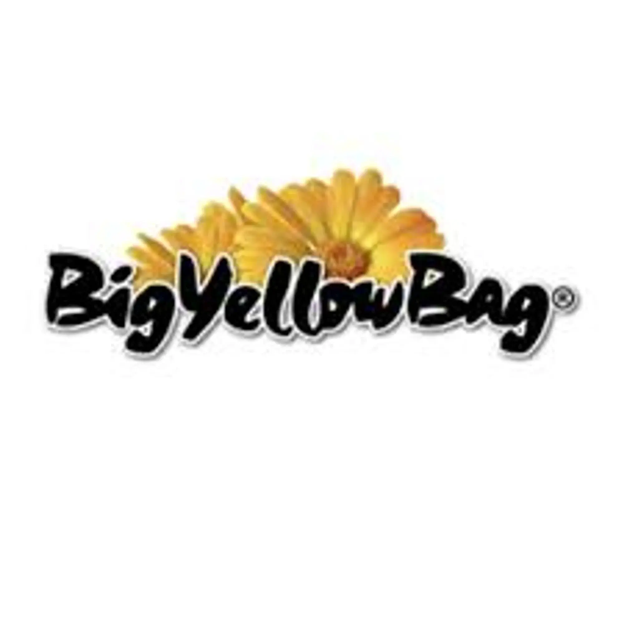 Big Yellow Bag Promo Code