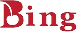 Bing Beverage Promo Code