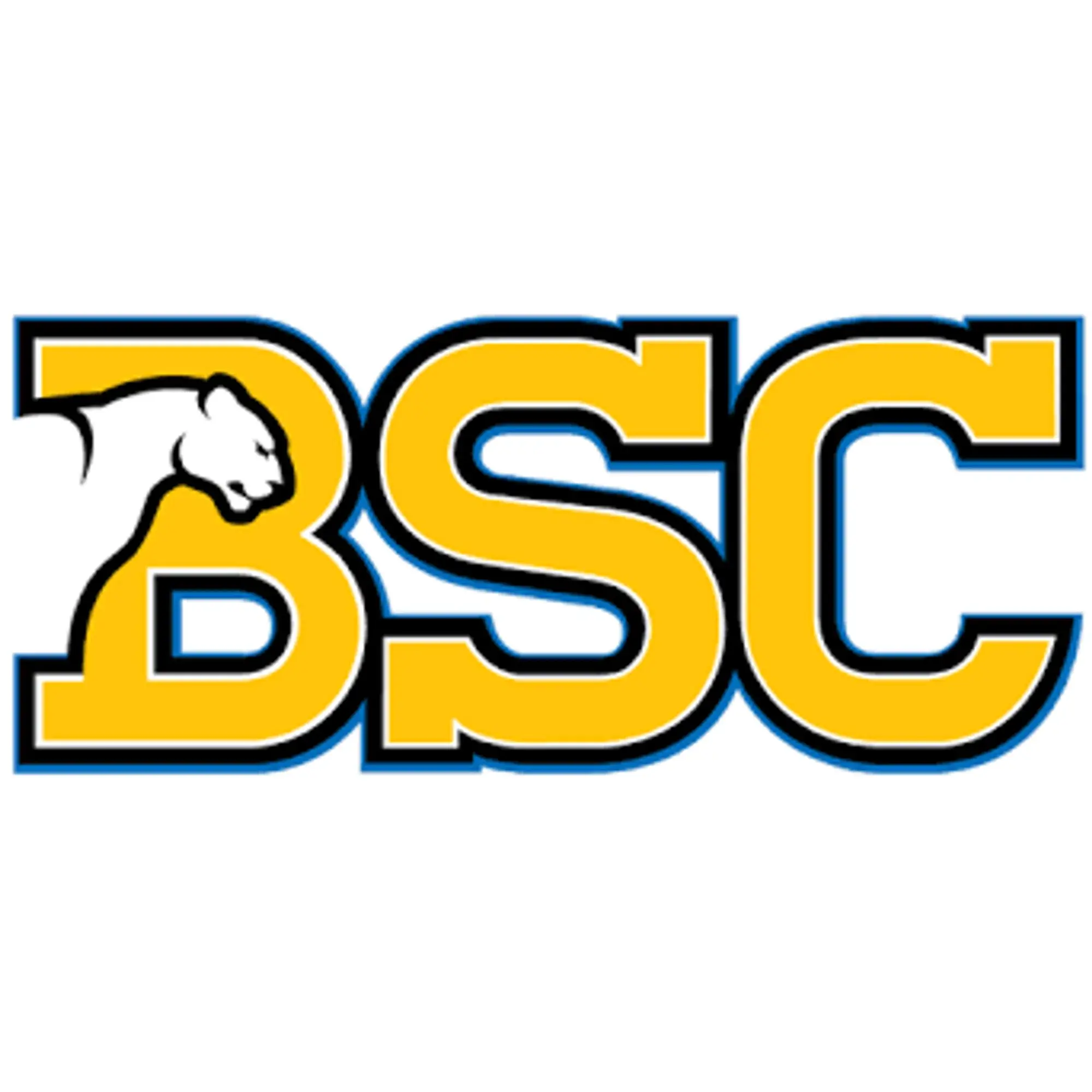 Birmingham-Southern Panthers Promo Code
