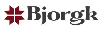 Bjorgk Promo Code