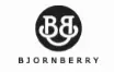Bjornberry SE Promo Code