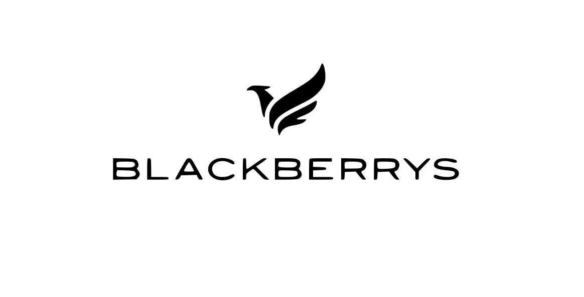 Blackberrys New Promo Code