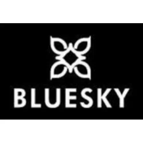 Bluesky Cosmetics Promo Code