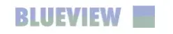 BLUEVIEW  Promo Code