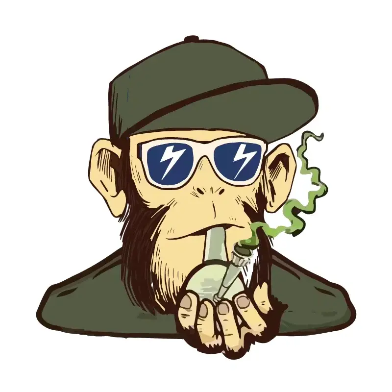 Bongaily Promo Code