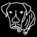 Boxador Promo Code