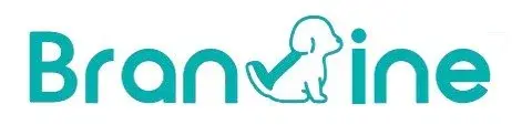 Branvine Promo Code